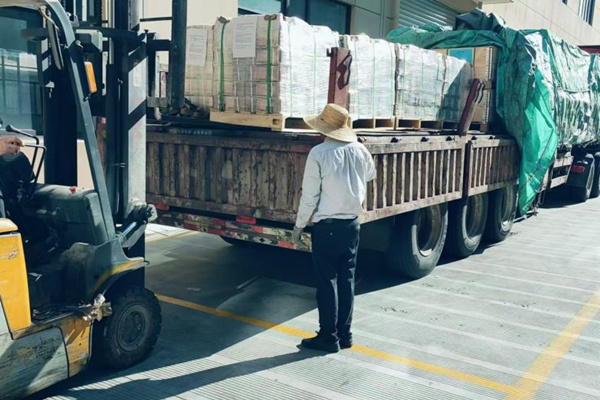 歐洲客戶訂購的一批直流無刷電機產品已成功發貨